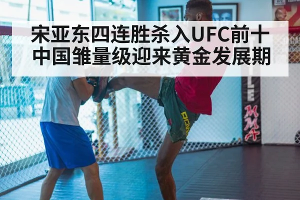 MMA training