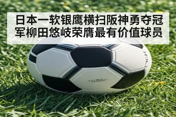 日本一软银鹰横扫阪神勇夺冠军柳田悠岐荣膺最有价值球员